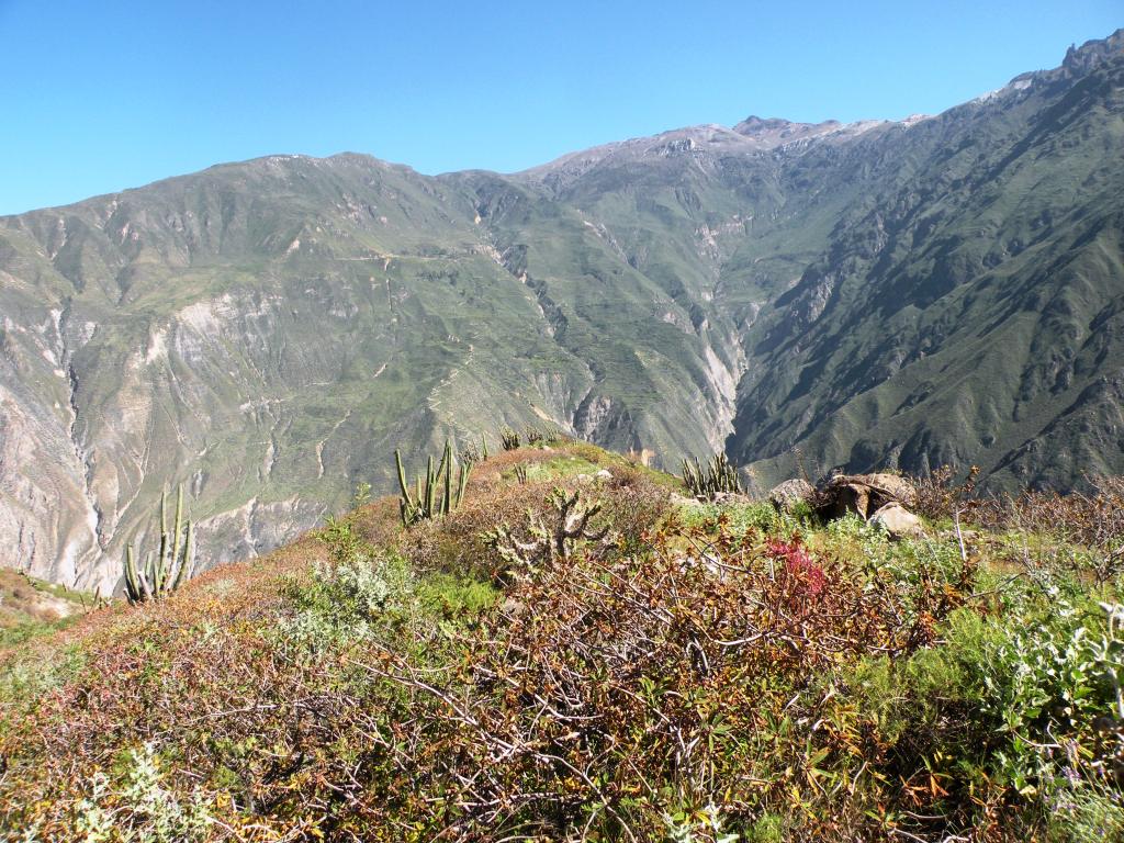 figura 28